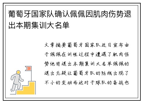 葡萄牙国家队确认佩佩因肌肉伤势退出本期集训大名单